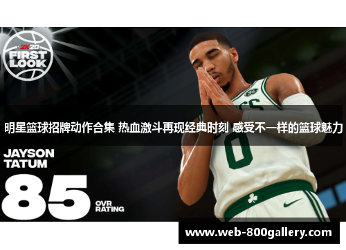明星篮球招牌动作合集 热血激斗再现经典时刻 感受不一样的篮球魅力