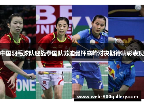 中国羽毛球队迎战泰国队苏迪曼杯巅峰对决期待精彩表现